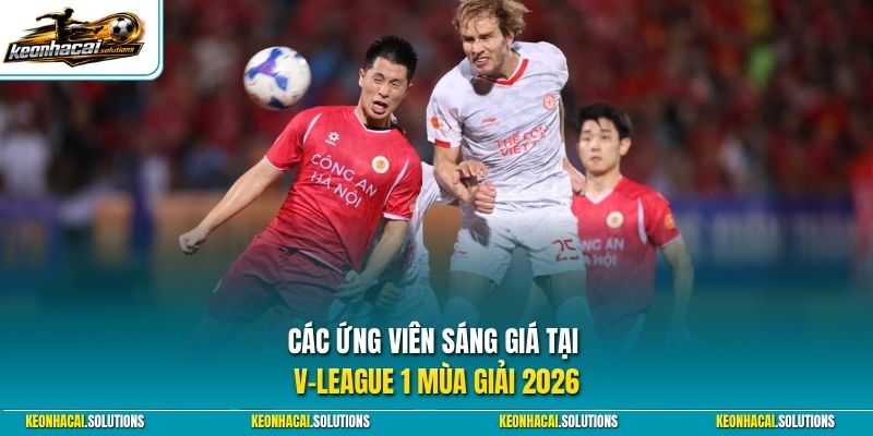 Các ứng viên sáng giá tại V-League 1 mùa giải 2026