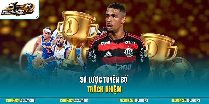 Sơ lược tuyên bố trách nhiệm 